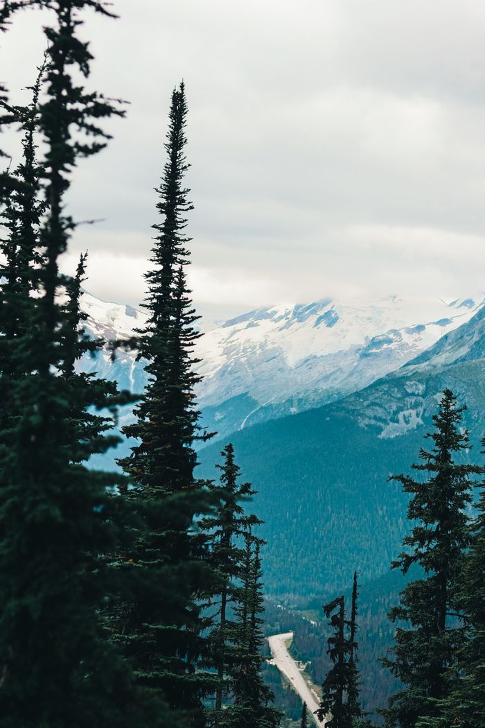 Snowcapped peaks and lush evergreen trees in Glacier, BC, Canada.